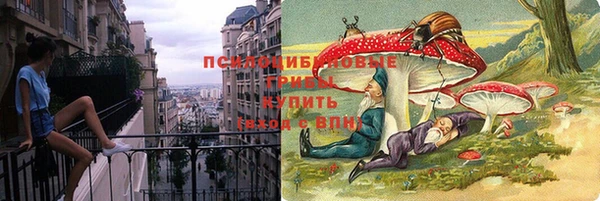 тгк Алексин