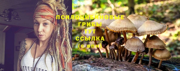 тгк Алексин