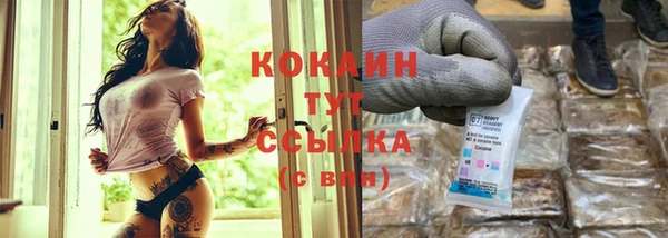 тгк Алексин